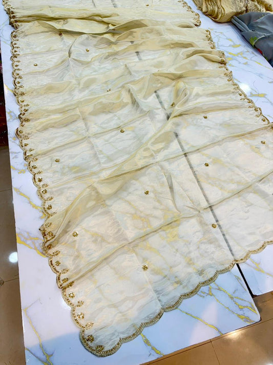Luxe viscous Tissue Dupatta with Handcrafted Border 2.75 meter Dyble ✅