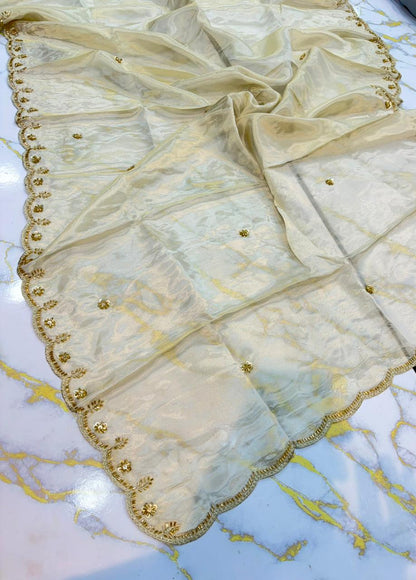 Luxe viscous Tissue Dupatta with Handcrafted  Border 2.75 meter Dyble ✅