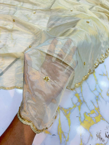 Luxe viscous Tissue Dupatta with Handcrafted  Border 2.75 meter Dyble ✅
