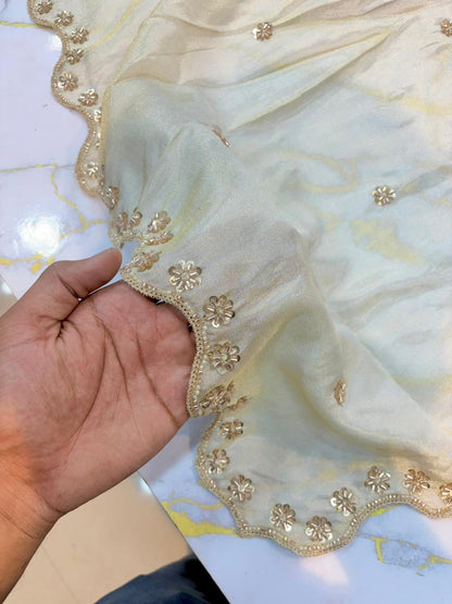 Luxe viscous Tissue Dupatta with Handcrafted  Border 2.75 meter Dyble ✅